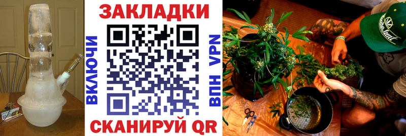Купить закладку Псилоцибиновые грибы  A-PVP  АМФ  COCAIN  МЕФ  Марихуана  Змеиногорск