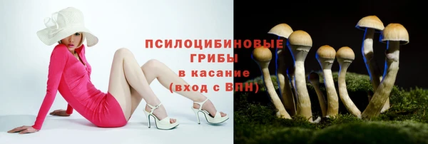 метадон Гусиноозёрск