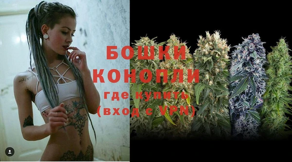 метадон Гусиноозёрск