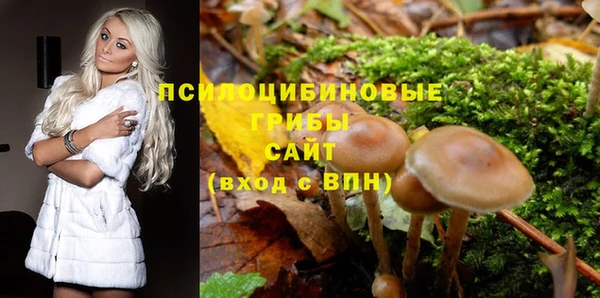 метадон Гусиноозёрск