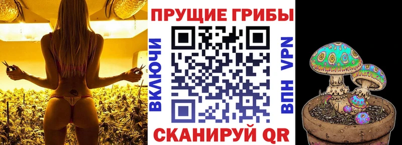 Псилоцибиновые грибы мухоморы  Купить  Змеиногорск 